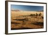 View of the Savanna. Africa. Namibia.-Lucas de Max-Framed Photographic Print