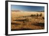 View of the Savanna. Africa. Namibia.-Lucas de Max-Framed Photographic Print