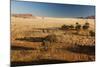 View of the Savanna. Africa. Namibia.-Lucas de Max-Mounted Photographic Print