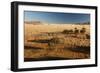 View of the Savanna. Africa. Namibia.-Lucas de Max-Framed Photographic Print