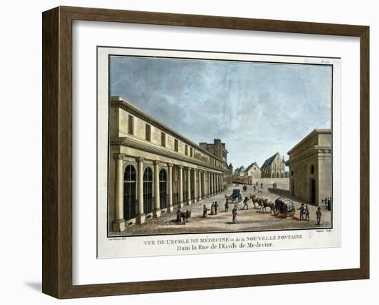 View of the Schoold of Medicine and the New Fountain-Chapuis and Angelo Garbizza-Framed Giclee Print