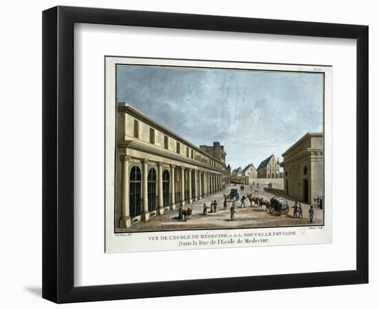 View of the Schoold of Medicine and the New Fountain-Chapuis and Angelo Garbizza-Framed Giclee Print