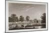 View of the Serpentine and Hyde Park, London, 1814-Matthew Dubourg-Mounted Giclee Print
