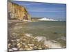 View of the Seven Sisters, Hope Gap Beach, Seaford Head, East Sussex, England-Neale Clarke-Mounted Photographic Print