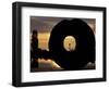 View of the Space Needle, Discovery Park, Seattle, Washington, USA-William Sutton-Framed Photographic Print