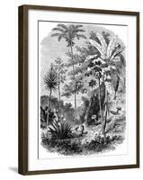 View of the Spanish Main, Guatemala, 1877-null-Framed Giclee Print