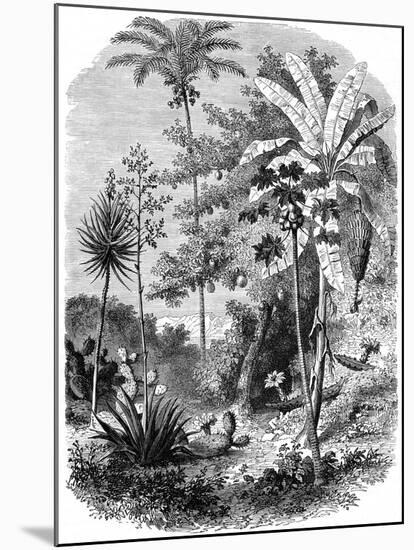 View of the Spanish Main, Guatemala, 1877-null-Mounted Giclee Print