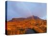 View of The Storr at sunrise, Isle of Skye, Inner Hebrides, Scotland, United Kingdom, Europe-Karol Kozlowski-Stretched Canvas