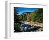 View of the Swift River along Kancamagus Highway, White Mountain National Forest, New Hampshire...-null-Framed Photographic Print