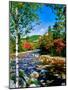 View of the Swift River along Kancamagus Highway, White Mountain National Forest, New Hampshire...-null-Mounted Photographic Print