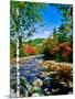 View of the Swift River along Kancamagus Highway, White Mountain National Forest, New Hampshire...-null-Mounted Photographic Print