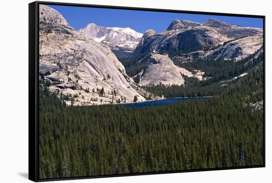 View of the Tenaya Lake Yosemite National Park-George Oze-Framed Stretched Canvas