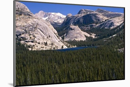 View of the Tenaya Lake Yosemite National Park-George Oze-Mounted Photographic Print