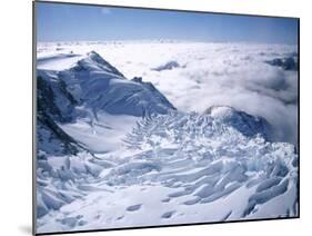 View of the Top of Fox Glacier, Westland, West Coast, South Island, New Zealand-D H Webster-Mounted Photographic Print