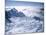 View of the Top of Fox Glacier, Westland, West Coast, South Island, New Zealand-D H Webster-Mounted Photographic Print