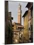 View of the Torre Del Mangia and Old Streets in Siena, Tuscany, Italy, Europe-John Woodworth-Mounted Photographic Print