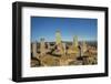 View of the Town by Drone-Guido Cozzi-Framed Photographic Print