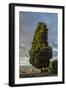 View of the Town from San Miniato Al Monte-Guido Cozzi-Framed Photographic Print