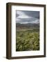 View of the Town from the Monastery of the Palace-Guido Cozzi-Framed Photographic Print