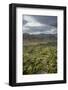 View of the Town from the Monastery of the Palace-Guido Cozzi-Framed Photographic Print