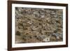 View of the Town from the Palace-Guido Cozzi-Framed Photographic Print