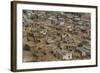View of the Town from the Palace-Guido Cozzi-Framed Photographic Print