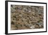View of the Town from the Palace-Guido Cozzi-Framed Photographic Print