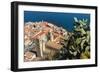 View of the Town with the Duomo (Cathedral) from the Rocca (Fortress)-Massimo Borchi-Framed Photographic Print