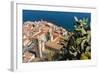 View of the Town with the Duomo (Cathedral) from the Rocca (Fortress)-Massimo Borchi-Framed Photographic Print