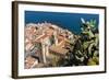 View of the Town with the Duomo (Cathedral) from the Rocca (Fortress)-Massimo Borchi-Framed Photographic Print