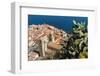 View of the Town with the Duomo (Cathedral) from the Rocca (Fortress)-Massimo Borchi-Framed Photographic Print