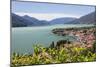 View of the typical village of Gravedona surrounded by Lake Como and gardens, Italian Lakes, Italy-Roberto Moiola-Mounted Photographic Print