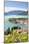 View of the typical village of Gravedona surrounded by Lake Como and gardens, Italian Lakes, Italy-Roberto Moiola-Mounted Photographic Print