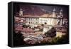 View of the Unesco World Heritage City of Ouro Preto in Minas Gerais Brazil-Curioso Travel Photography-Framed Stretched Canvas