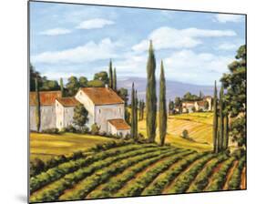 View of the Valley-Charles Berry-Mounted Art Print