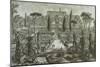 View of the Villa D'Este in Tivoli-Giovanni Battista Piranesi-Mounted Giclee Print