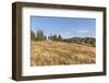 View of the Village-Guido Cozzi-Framed Photographic Print