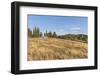 View of the Village-Guido Cozzi-Framed Photographic Print