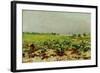 View of the Vineyards, 1880-Henri de Toulouse-Lautrec-Framed Giclee Print