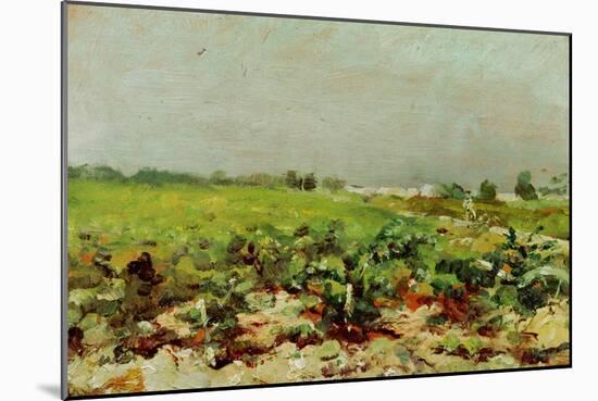 View of the Vineyards, 1880-Henri de Toulouse-Lautrec-Mounted Giclee Print
