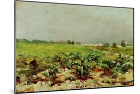 View of the Vineyards, 1880-Henri de Toulouse-Lautrec-Mounted Giclee Print