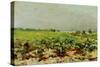 View of the Vineyards, 1880-Henri de Toulouse-Lautrec-Stretched Canvas