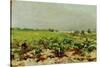 View of the Vineyards, 1880-Henri de Toulouse-Lautrec-Stretched Canvas