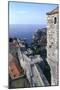 View of the West Wall from the Minceta Tower-null-Mounted Photographic Print