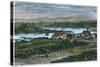 View of the Western Suburbs of Victoria, Vancouver Island, British Columbia, Canada, C1880-null-Stretched Canvas