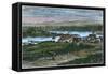 View of the Western Suburbs of Victoria, Vancouver Island, British Columbia, Canada, C1880-null-Framed Stretched Canvas