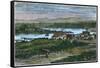 View of the Western Suburbs of Victoria, Vancouver Island, British Columbia, Canada, C1880-null-Framed Stretched Canvas