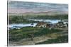 View of the Western Suburbs of Victoria, Vancouver Island, British Columbia, Canada, C1880-null-Stretched Canvas