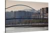 View of the Zubizuri bridge on Nervion River, Bilbao, Biscay Province, Basque Country Region, Spain-null-Stretched Canvas