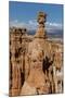 View of Thor's Hammer from the Navajo Loop Trail in Bryce Canyon National Park, Utah, United States-Michael Nolan-Mounted Photographic Print